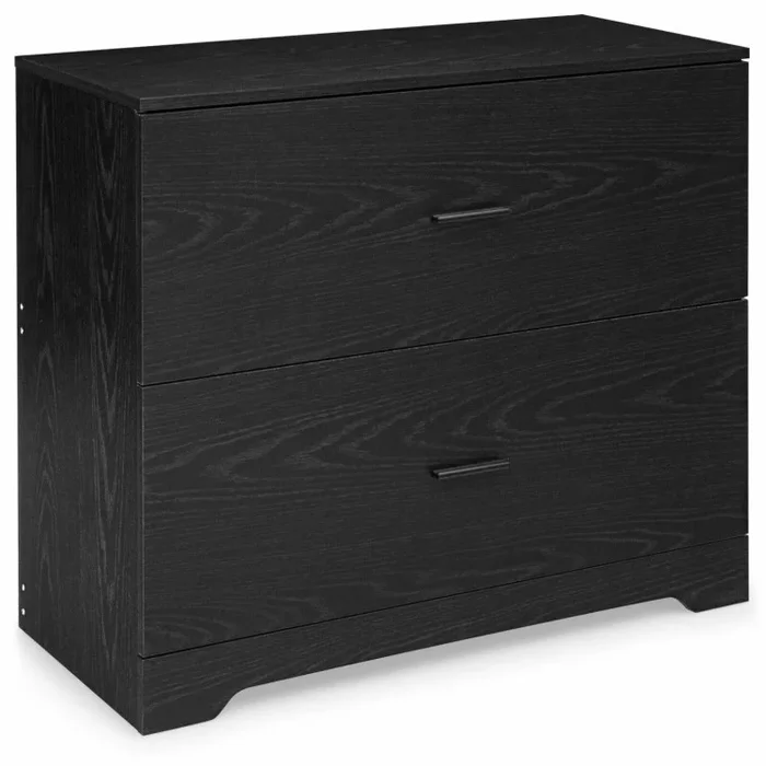 2-Drawer Lateral File Cabinet with Adjustable Hanging Bars for Home and Office