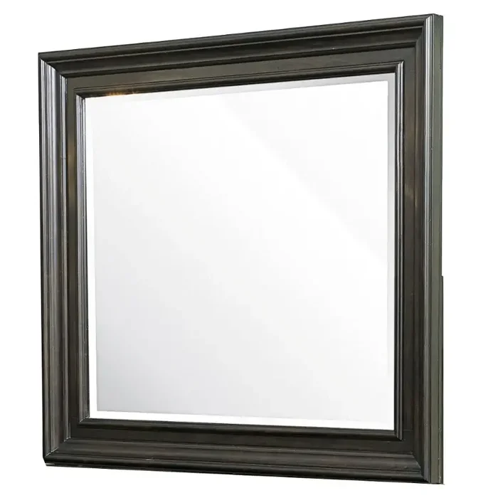 8794-035 Samuel Lawrence Furniture Monarch Landscape Mirror
