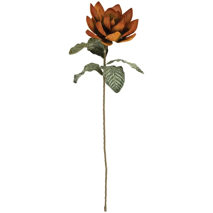 Botanical Rosette Greenery