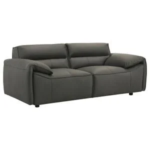 Buxton Top Grain Leather Upholstered Loveseat Graphite