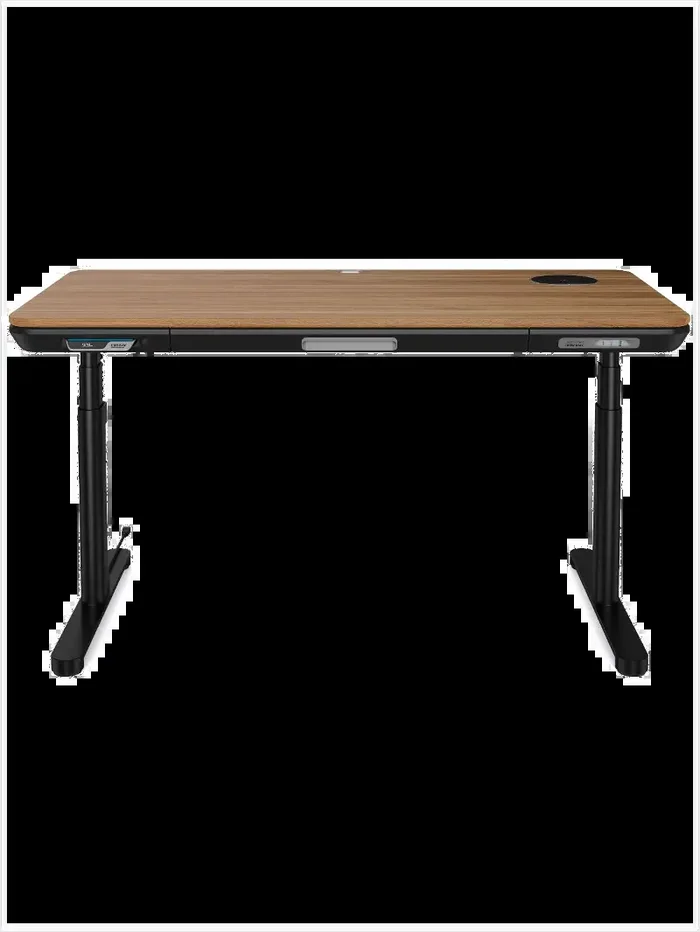 ErgoFx Adjustable Height Standing Desk With Walnut Desktop