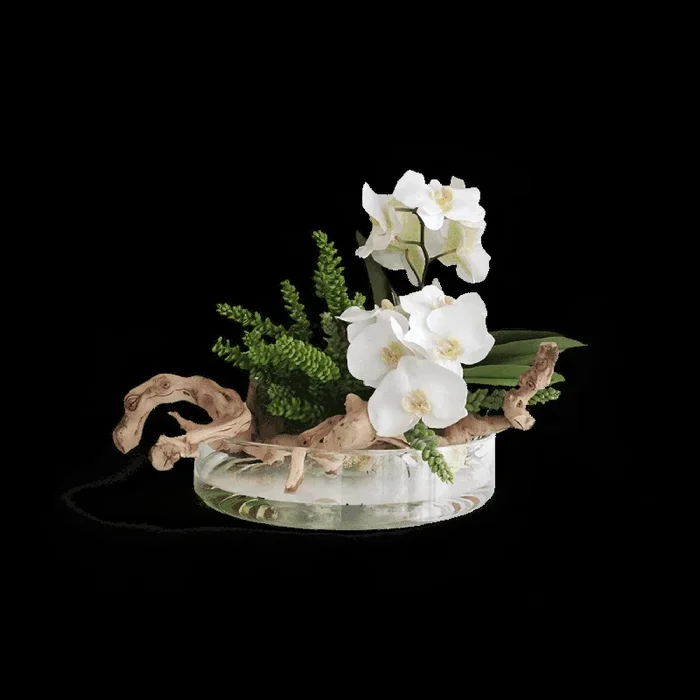 Heritage Vase Succulents and Wood