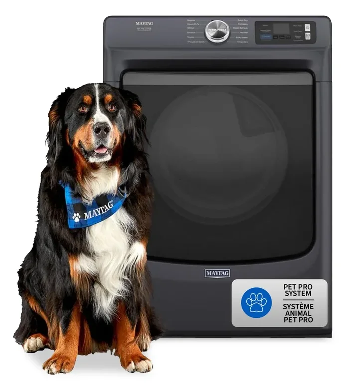 Maytag 7.4 Cu. Ft. Pet Pro Smart Gas Dryer – Midnight Steel – MGD7020RF | Sécheuse à gaz intelligente Pet Pro de 7,4 pi3 de Maytag – acier minuit – MGD7020RF | MGD7020R