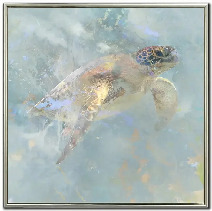 Oceanic Turtle I Wall Art