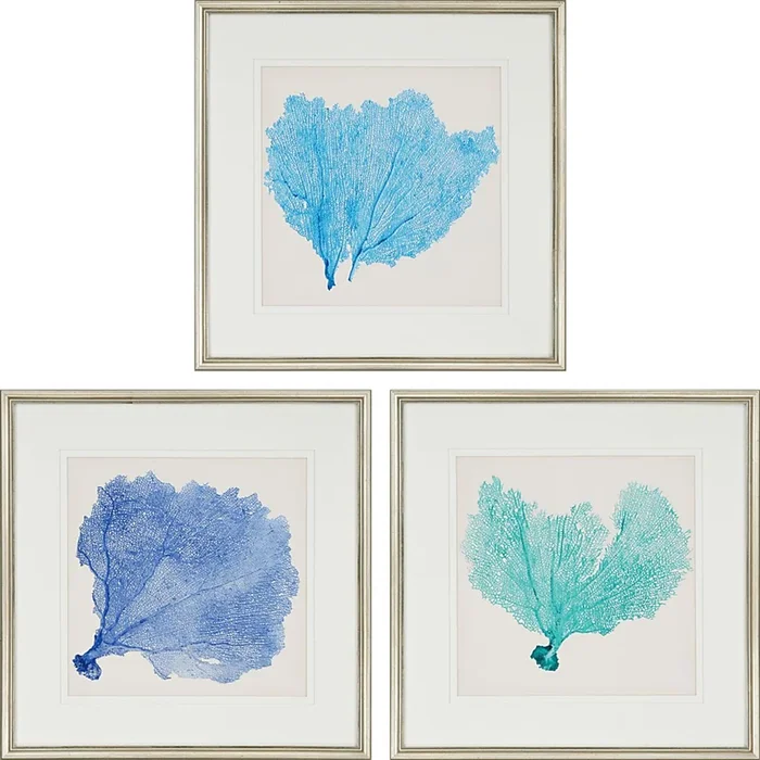 Sarvene II Set of 3 Artwork