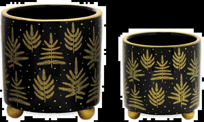 Small 4.25 Inch Black and Gold Dolomite Container