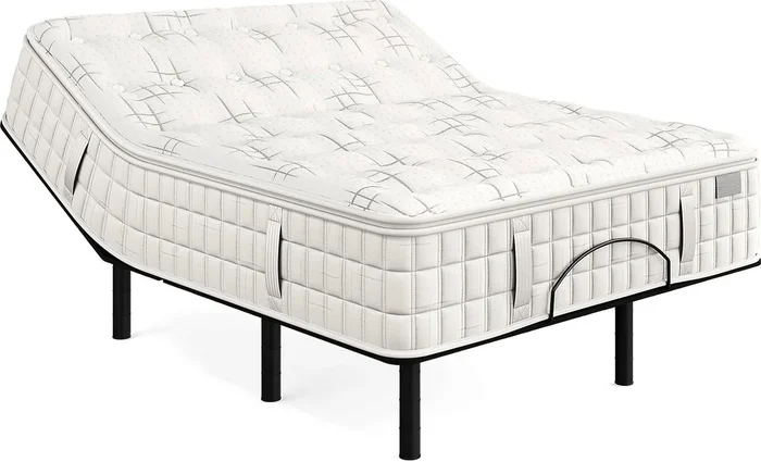 Topanga Canyon Queen Adjustable Mattress Set