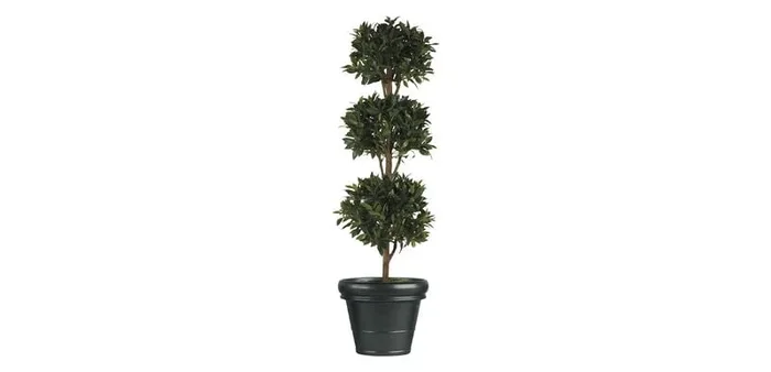 Triple Bayleaf Ball Topiary