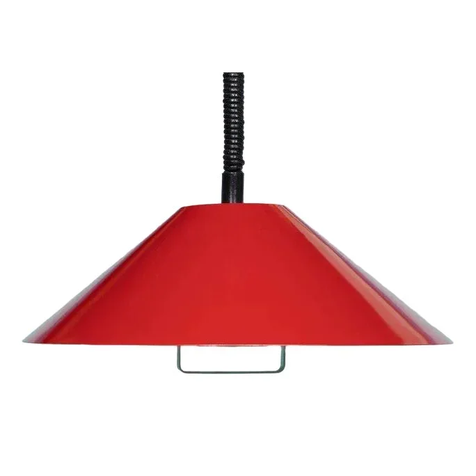 Vintage Danish Hanging Lamp from Horn, 1970s