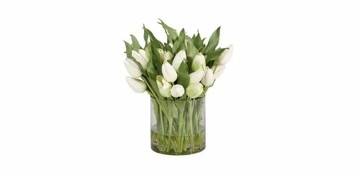White Tulip Watergarden